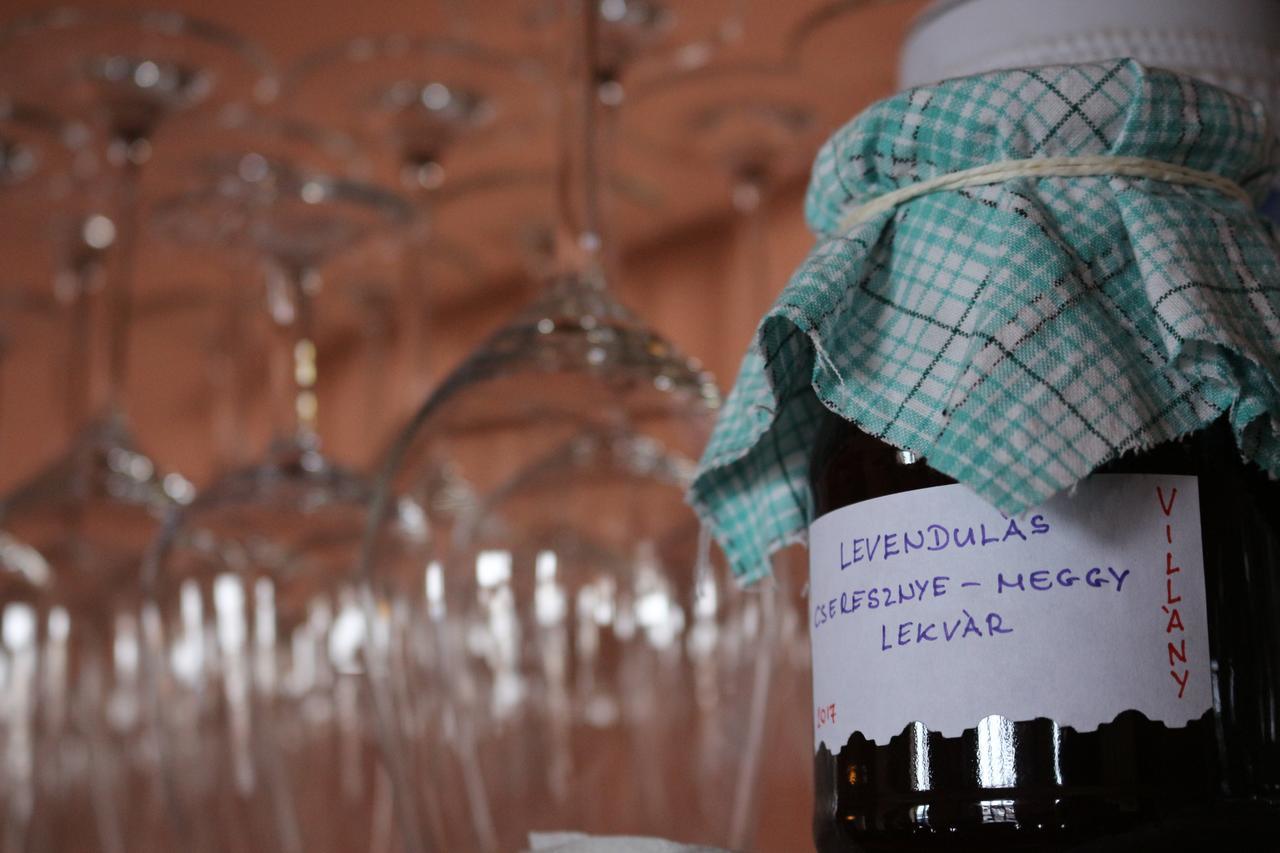 Vitenyi Pince Vendeghaz Villány Zewnętrze zdjęcie